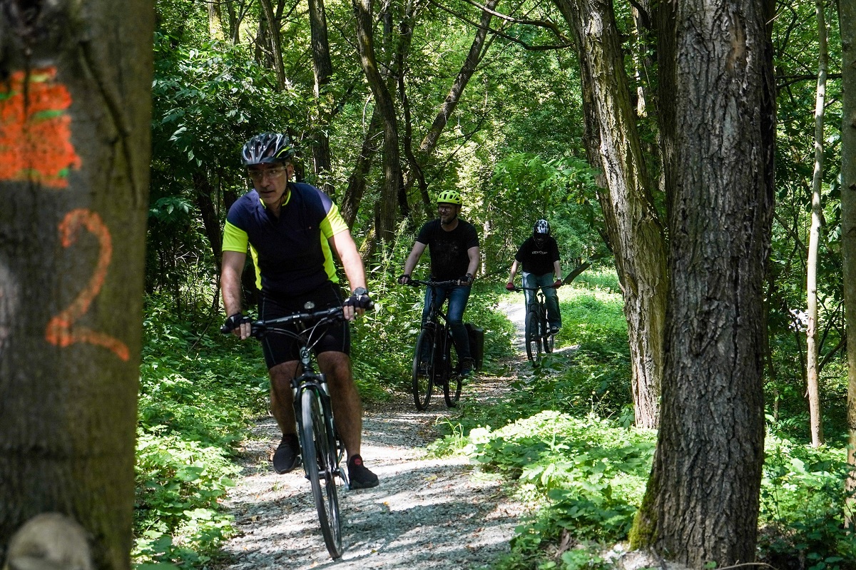  Trzech rowerzystów jedzie po trasie rowerowej biegnącej między drzewami